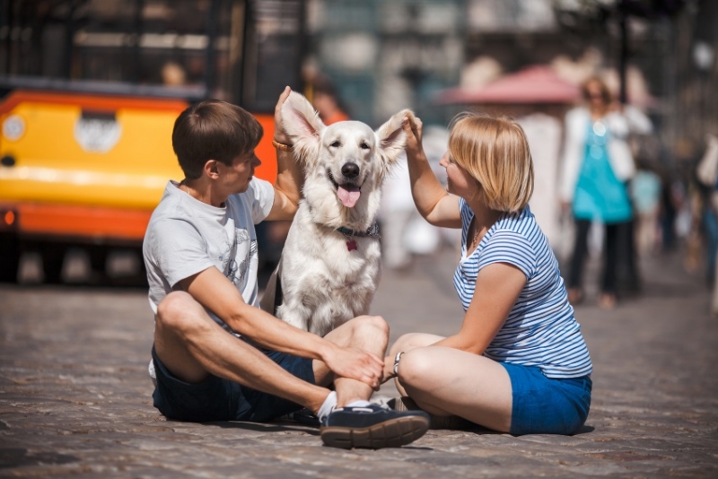 Couple playing with their dog.